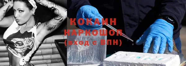 стаф Алзамай