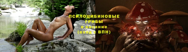 стаф Алзамай