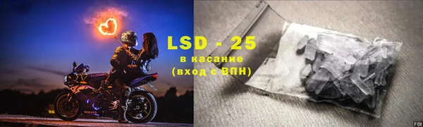 стаф Алзамай